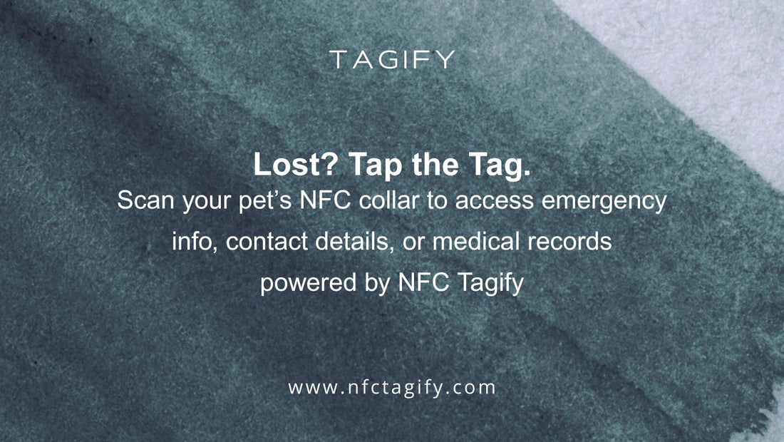 Smart NFC Pet Tags