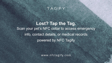 Smart NFC Pet Tags